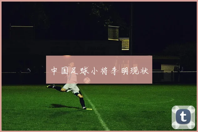 中国足球小将李明现状