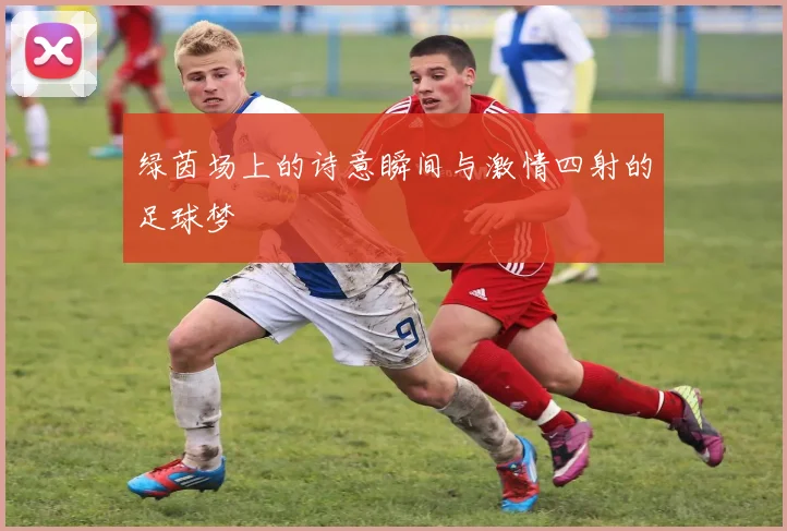 绿茵场上的诗意瞬间与激情四射的足球梦