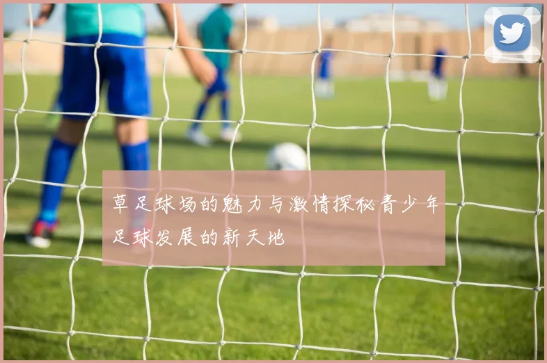 草足球场的魅力与激情探秘青少年足球发展的新天地