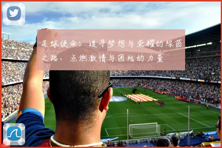 足球使命：追寻梦想与荣耀的绿茵之路，点燃激情与团结的力量
